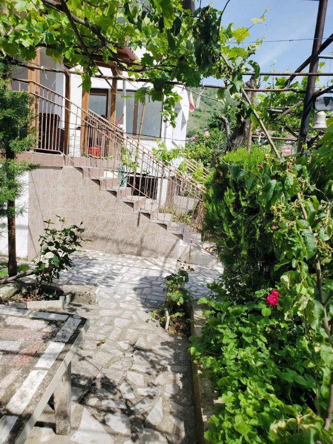 Lake Ohrid Guesthouse "Villa Valentina" Поградец Экстерьер фото